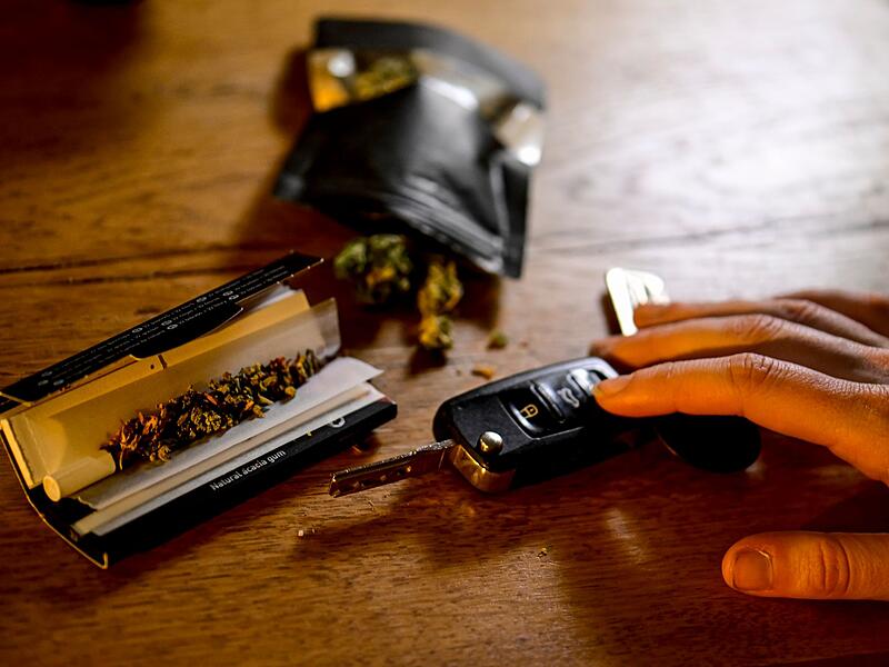 Cannabis Cannabis