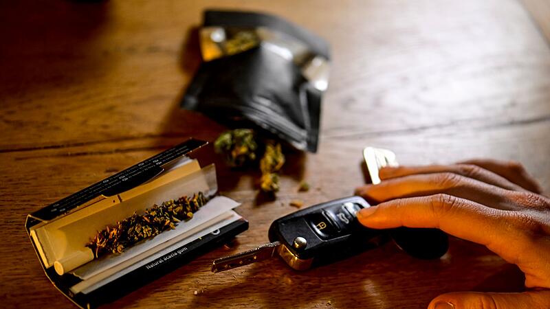 Cannabis Cannabis