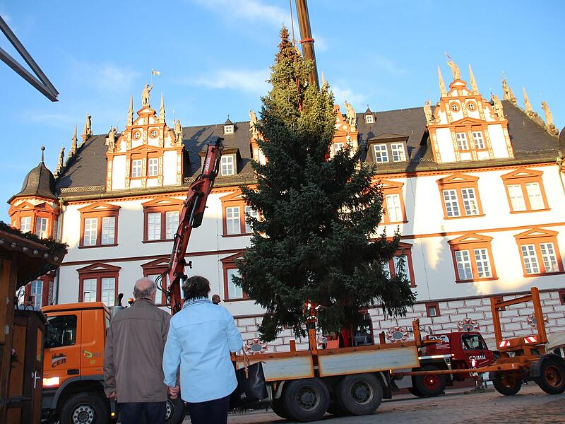Am Ziel: Kurz nach 16 Uhr erreichte der in D&ouml;rfles-Esbach gef&auml;llte Baum den Coburger Marktplatz.