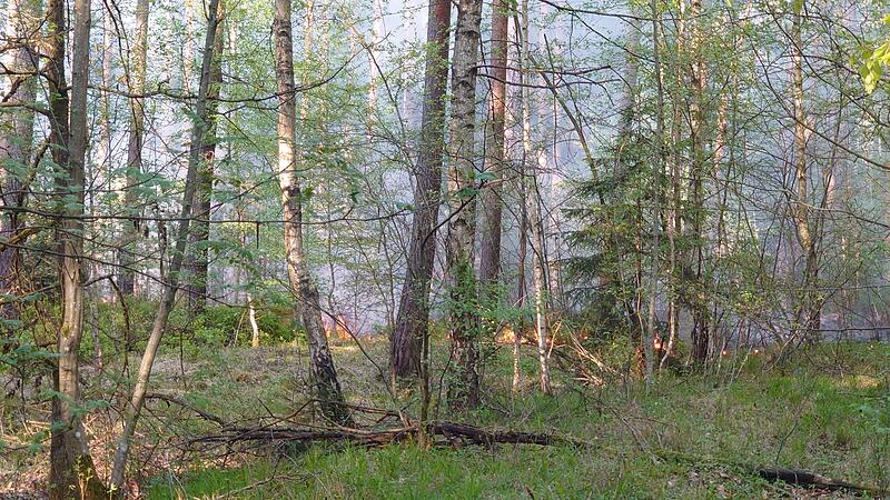 Seit Mittwochabend, 30. April 2025, brennt es im Tennenloher Forst bei Erlangen.