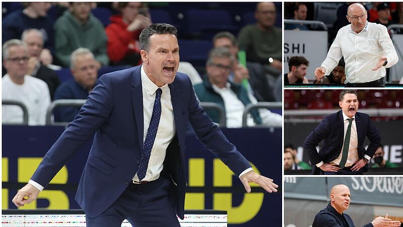 Vier von fünf möglichen Nachfolgern von Oren Amiel als Cheftrainer von Brose Bamberg: Raoul Korner (l.), Mladen Drijencic, Martin Schiller und  Denis Wucherer  (rechts von oben nach unten.