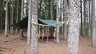 Auch in Forchheim gibt es eine Kita im Wald.Forchheim & Fr&auml;nkische Schweiz