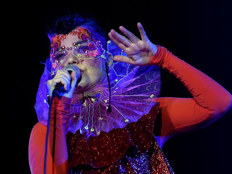 Bj&ouml;rk