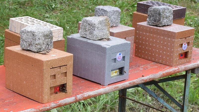 Hier werden die neuen K&ouml;niginnen gez&uuml;chtet.