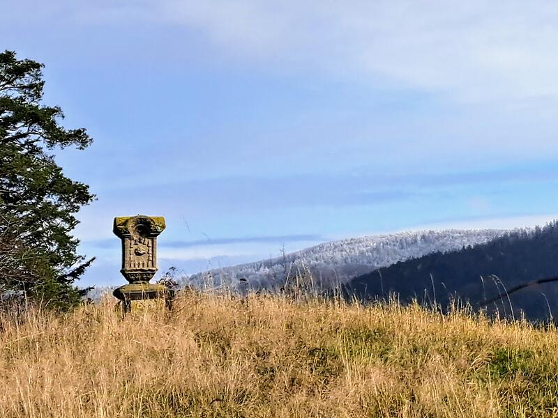 Leserbilder 2025Leserfotos Dezember 2025