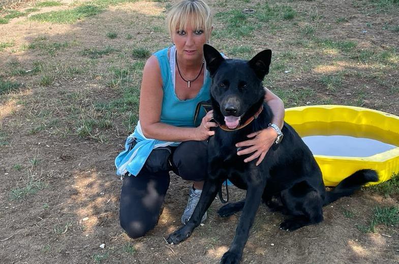 Carolin Hanko, Pflegerin m Tierheim Forchheim, und Schäferhund Timba: Die Lage bei den Tierschutzvereinen in der Region spitzt sich zu.Forchheim & Fränkische Schweiz