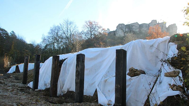 An der historisch korrekten Stelle am Staffelberg wird derzeit das keltische Zangentor symbolisch mit Eichenbohlen rekonstruiert.