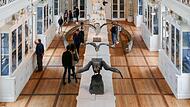 Anziehungspunkt war der berühmte Vogelsaal im Naturkundemuseum.