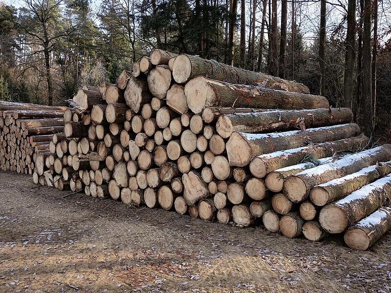 Die Holzpreise ziehen wieder an. Das hat laut der  Waldbesitzervereinigung (WBV) Fr&auml;nkische Schweiz mehrere Gr&uuml;nde. S
