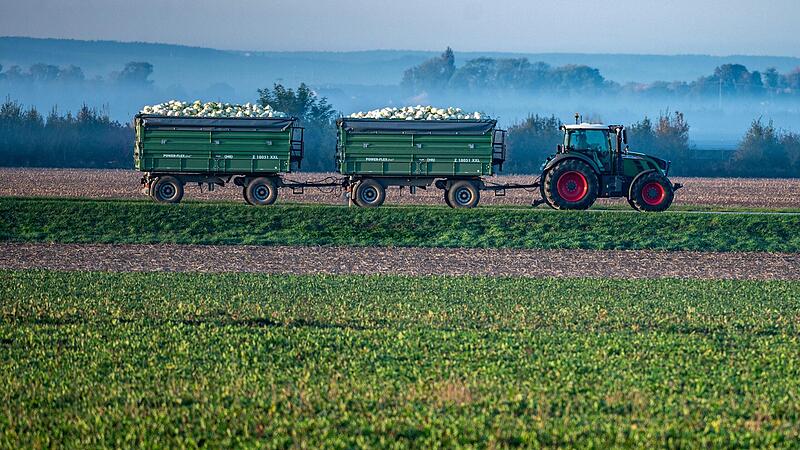 30 Prozent der Fläche sollen in Bayern bis 2030 nach ökologischen Kriterien bewirtschaftet werden, aktuell sind es lediglich 13,6 Prozent. 30 Prozent der Fläche sollen in Bayern bis 2030 nach ökologischen Kriterien bewirtschaftet werden, aktuell sind es lediglich 13,6 Prozent.