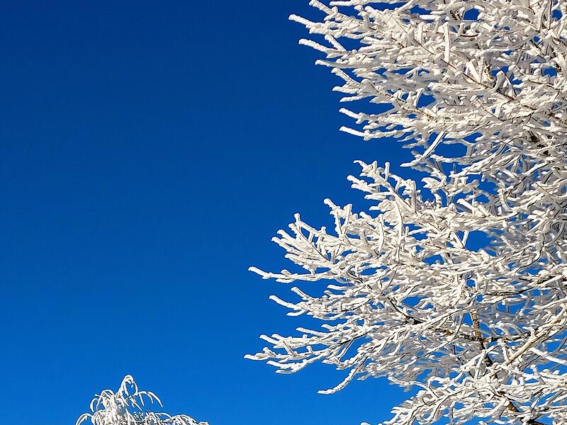 Samstag, morgens um 9 Uhr, auf der Wasserkuppe.