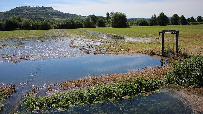 Die W&auml;sserwiesen beich Forchheim.Forchheim & Fr&auml;nkische Schweiz