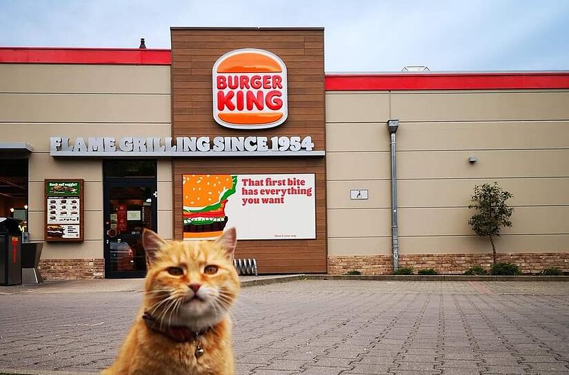 Auf der Facebook-Seite „Erika wieder bei Burger King“ gehen immer wieder neue Schnappschüsse ein. Auf der Facebook-Seite „Erika wieder bei Burger King“ gehen immer wieder neue Schnappschüsse ein.