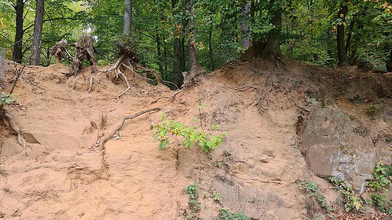 Weil Kinder an den Hängen spielen, tragen sie den Boden allmählich ab.Forchheim & Fränkische Schweiz