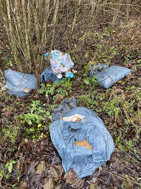 Illegale Müllentsorgung