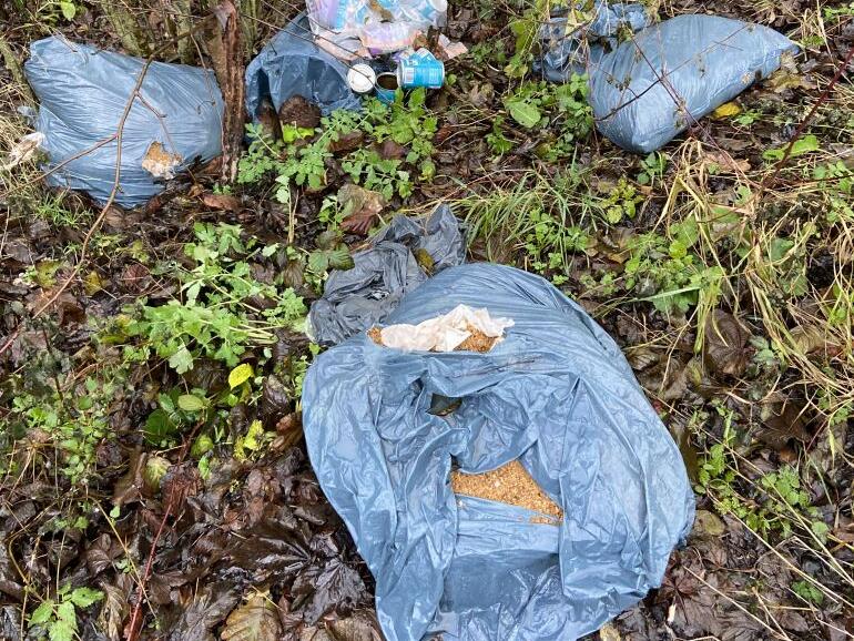 Illegale Müllentsorgung Illegale Müllentsorgung