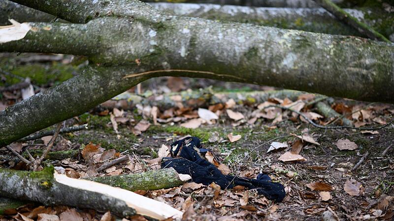 Baum umgestürzt - Drei Tote bei Flensburg Baum umgestürzt - Drei Tote bei Flensburg