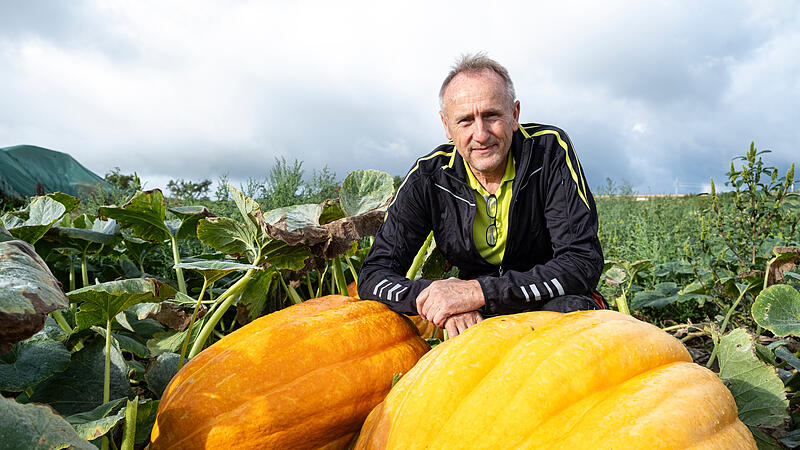 G&uuml;nther Geyer setzt f&uuml;r seinen Hof auf viele Standbeine: Eines davon sind K&uuml;rbisse.