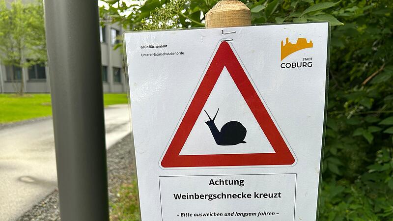 Weinbergschnecken in Coburg Rund ums Globe fühlen sich Weinbergschnecken offensichtlich besonders wohl. Deshalb wurden jetzt Hinweisschilder wie diese aufgestellt.