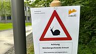 Rund ums Globe f&uuml;hlen sich Weinbergschnecken offensichtlich besonders wohl. Deshalb wurden jetzt Hinweisschilder wie diese aufgestellt.
