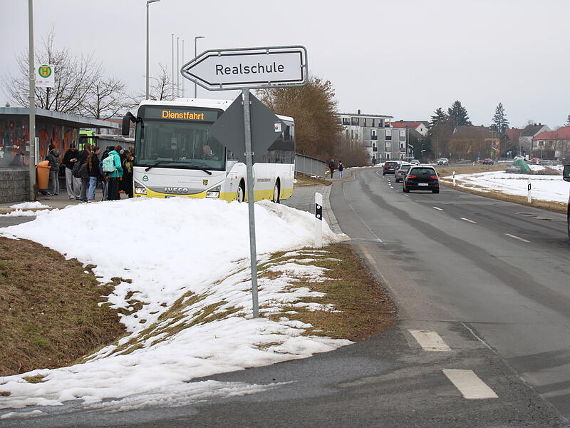 In einer Petition fordern Elternbeir&auml;te in der Rothenburger Stra&szlig;e in H&ouml;chstadt eine Tempo-30-Zone.