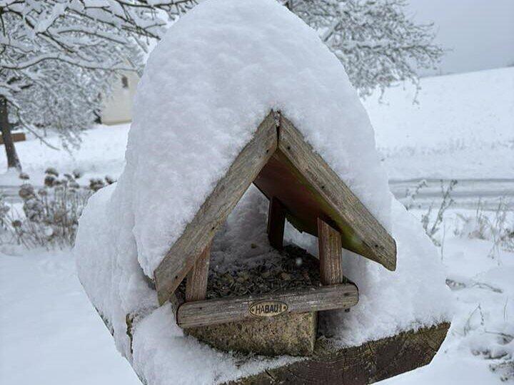 Schnee in Kulmbach: Die sch&ouml;nsten Leserfotos