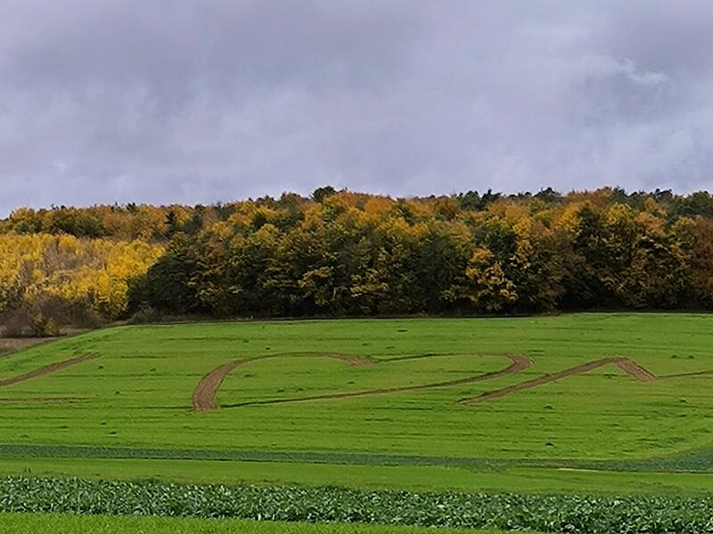 Ein Schnappschuss aus Untererthal: &bdquo;Eine Liebesbotschaft eines Landwirtes an eine Unbekannte an der Tummelhecke in Untererthal&ldquo;, schreibt der Leser.