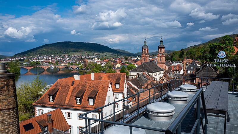 Blick auf Miltenberg