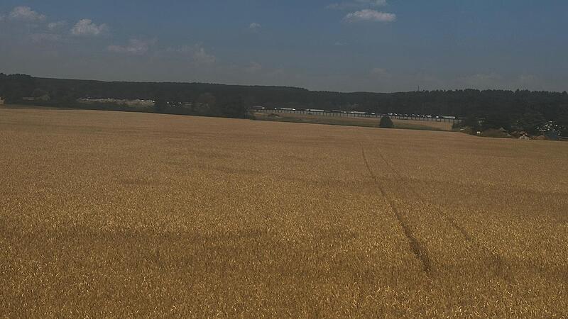 Von (Getreide-)Goldenen Zeiten mag in der Landwirtschaft momentan niemand sprechen. Es sind viele Sorgen, die die Landwirte betreffen.