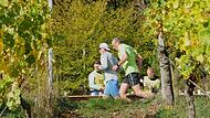 Weinberglauf des SV Ramsthal Weinberglauf des SV Ramsthal