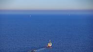 Weitere Entwicklung zum Buckelwal in der Ostsee Weitere Entwicklung zum Buckelwal in der Ostsee