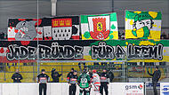 Kölner Haie und Höchstadter EC: Vor dem Heimspiel der Alligators im Februar gegen den EC Peiting hatten die befreundeten Fanlager eine gemeinsame Choreo gestaltet.