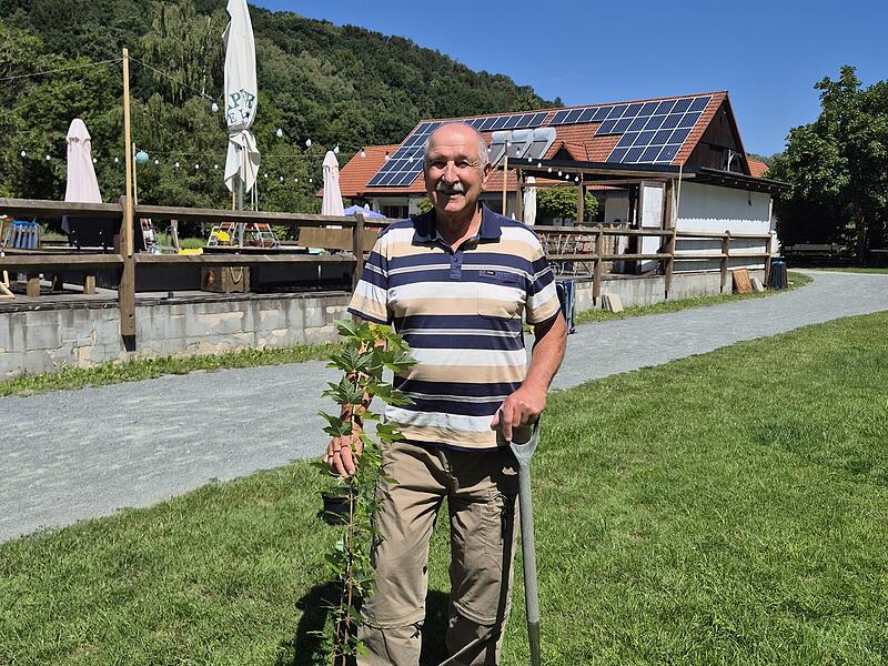 Baumpflanzung Badesee Trebgast