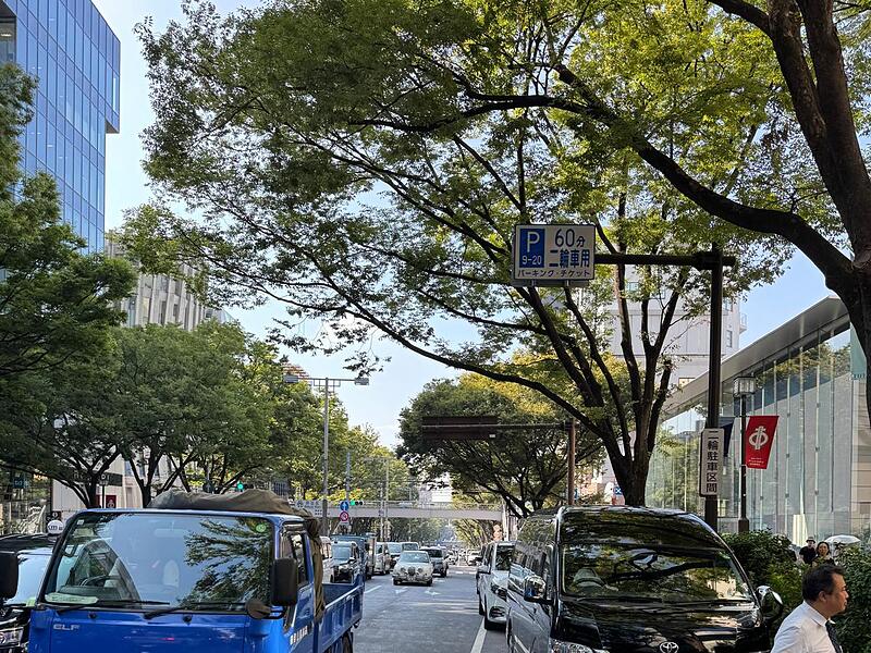Das viele Gr&uuml;n in Tokio  hat Fares Day &uuml;berrascht.