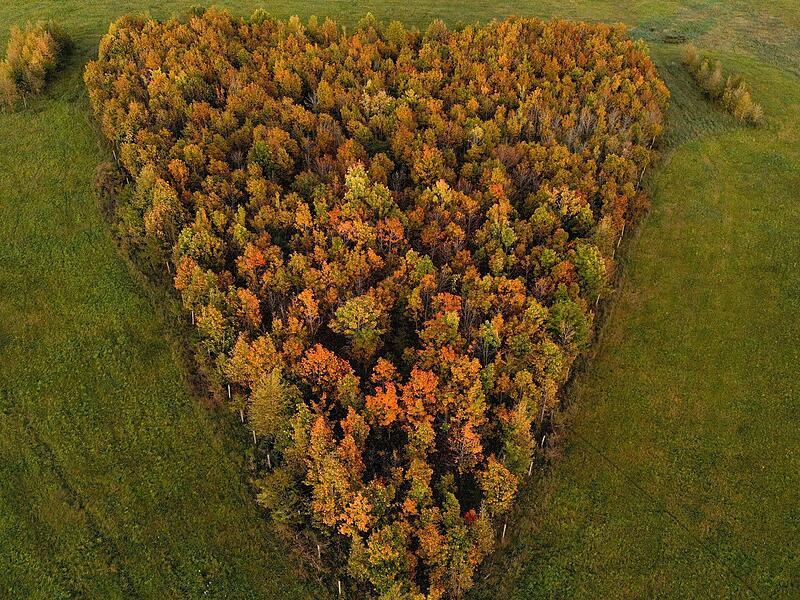 Foto Main-Post - 10518336 Foto Main-Post - 10518336