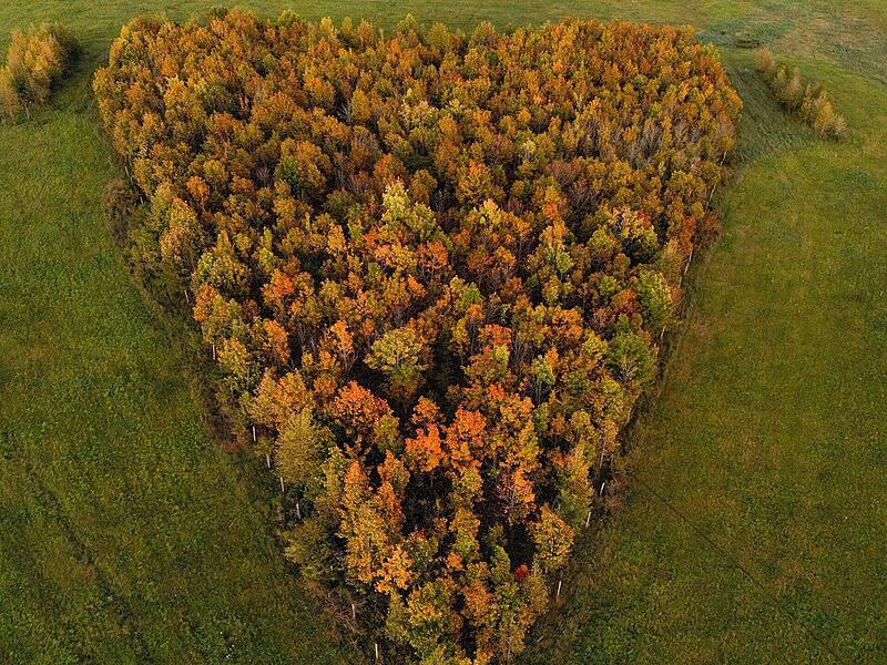 Foto Main-Post - 10518336