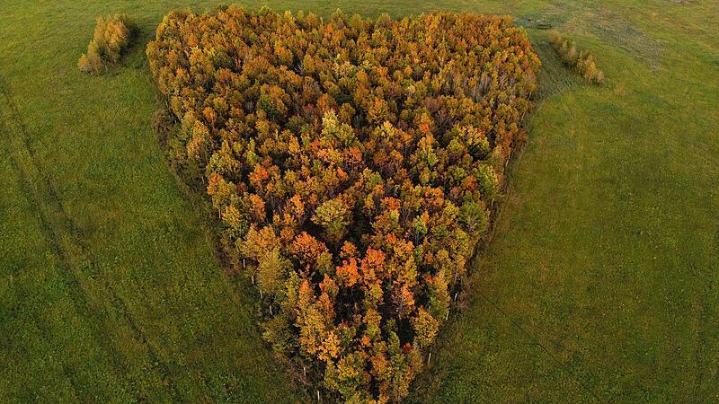 Foto Main-Post - 10518336