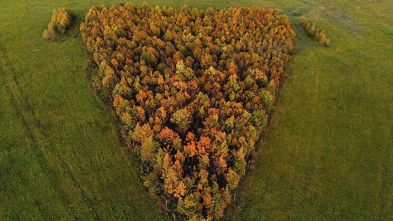 Foto Main-Post - 10518336