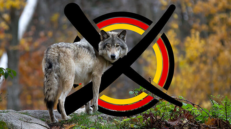 500px Photo ID: 86970805 - To purchase prints, cards, pillows, shirts and more you can visit <a href="http://www.redbubble.com/people/darby8">www.redbubble.com/people/darby8</a>&copy; Jim Cumming