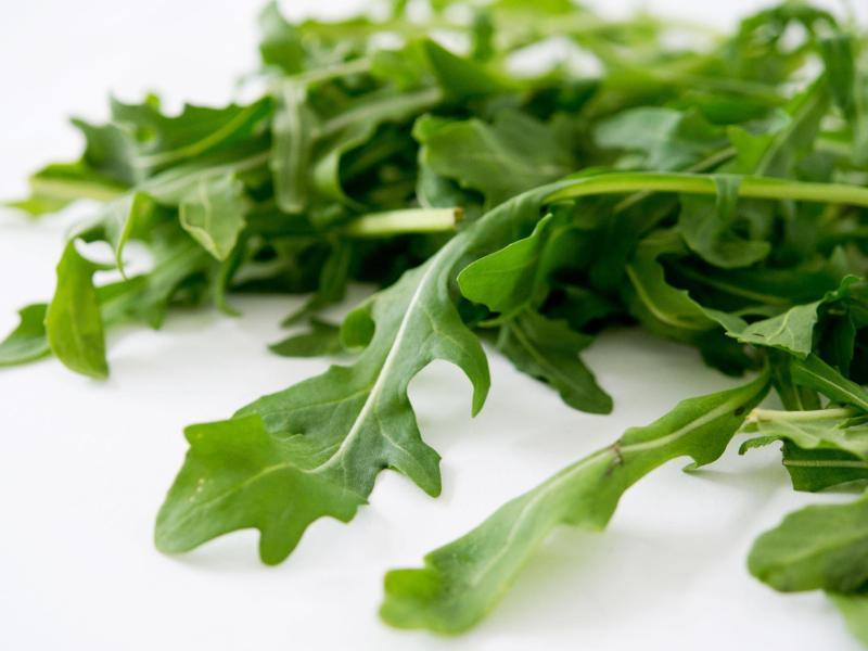 Rucola