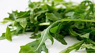 Rucola