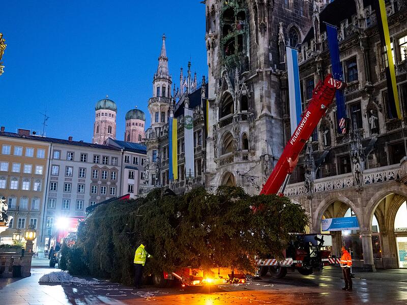 Christbaum auf dem Marienplatz