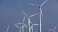 Drehen sich bald Windr&auml;der wie auf diesem Symbolfoto &uuml;ber dem Bildh&auml;user Forst? Nach den Vorstellungen von sechs anliegenden Kommunen soll hier der leistungsst&auml;rkste bayerische Windpark entstehen.