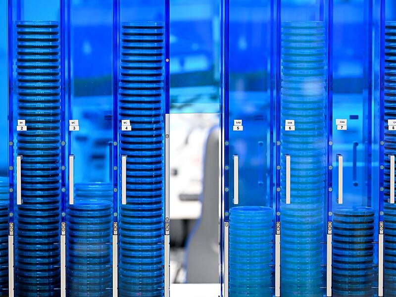 Diagnostik und translationale Forschung der Infektionsmedizin Diagnostik und translationale Forschung der Infektionsmedizin