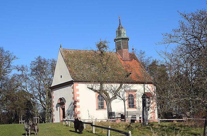 Die Michaelskapelle in Frankenbrunn.