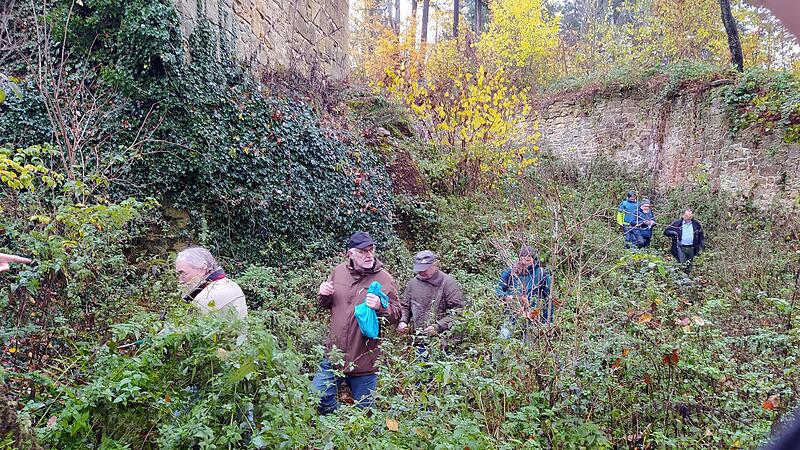 Die Exkursionsteilnehmer begutachten interessiert die vorgenommenen Sicherungsmaßnahmen an der Burgruine Raueneck.