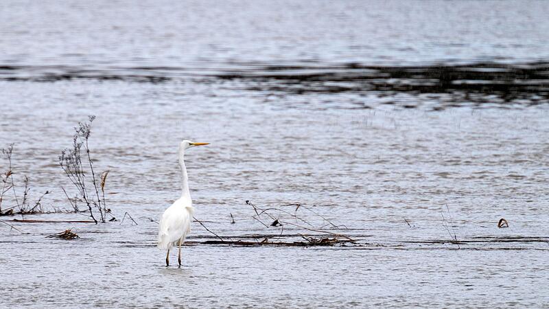 Hochwasser - Nordbayern