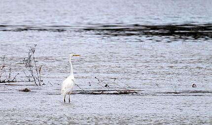 Hochwasser - Nordbayern