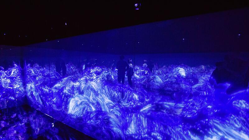 Installation im teamLab Borderless Tokyo