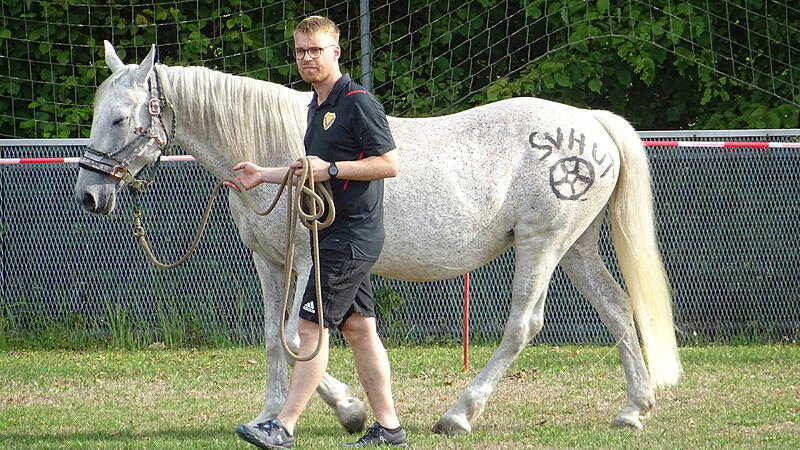 Pferdelotto beim SV Hut Coburg: Hier der Vorsitzende des Vereins, Georg Wegener, mit demConnemara-Pony &bdquo;Ros&eacute;&ldquo;